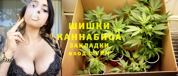 гидропоника Богданович
